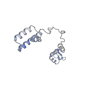 34869_8hl4_L19E_v1-0
Cryo-EM Structures and Translocation Mechanism of Crenarchaeota Ribosome