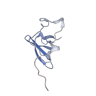 34869_8hl4_L21E_v1-0
Cryo-EM Structures and Translocation Mechanism of Crenarchaeota Ribosome