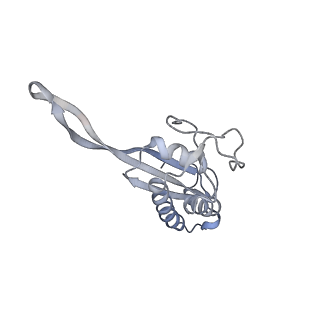 34869_8hl4_L22P_v1-0
Cryo-EM Structures and Translocation Mechanism of Crenarchaeota Ribosome