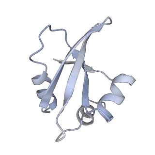 34869_8hl4_L23P_v1-0
Cryo-EM Structures and Translocation Mechanism of Crenarchaeota Ribosome