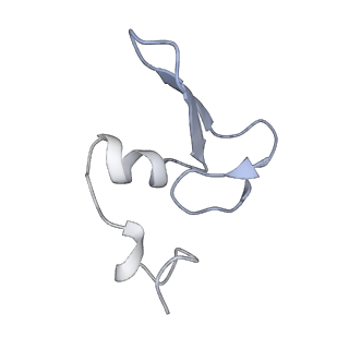34869_8hl4_L24E_v1-0
Cryo-EM Structures and Translocation Mechanism of Crenarchaeota Ribosome