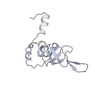 34869_8hl4_L24P_v1-0
Cryo-EM Structures and Translocation Mechanism of Crenarchaeota Ribosome