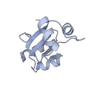 34869_8hl4_L30E_v1-0
Cryo-EM Structures and Translocation Mechanism of Crenarchaeota Ribosome