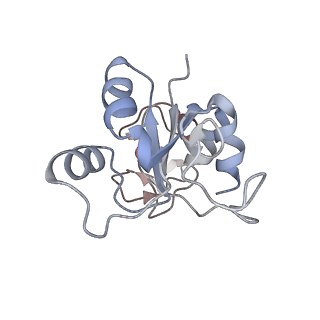 34869_8hl4_L30P_v1-0
Cryo-EM Structures and Translocation Mechanism of Crenarchaeota Ribosome