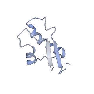 34869_8hl4_L31E_v1-0
Cryo-EM Structures and Translocation Mechanism of Crenarchaeota Ribosome