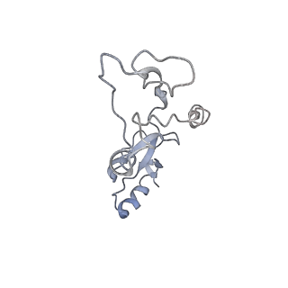 34869_8hl4_L32E_v1-0
Cryo-EM Structures and Translocation Mechanism of Crenarchaeota Ribosome