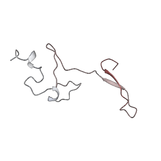 34869_8hl4_L34E_v1-0
Cryo-EM Structures and Translocation Mechanism of Crenarchaeota Ribosome