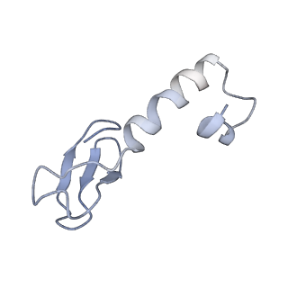 34869_8hl4_L37A_v1-0
Cryo-EM Structures and Translocation Mechanism of Crenarchaeota Ribosome