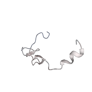 34869_8hl4_L37E_v1-0
Cryo-EM Structures and Translocation Mechanism of Crenarchaeota Ribosome
