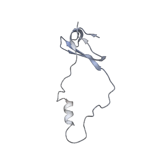 34869_8hl4_L44E_v1-0
Cryo-EM Structures and Translocation Mechanism of Crenarchaeota Ribosome