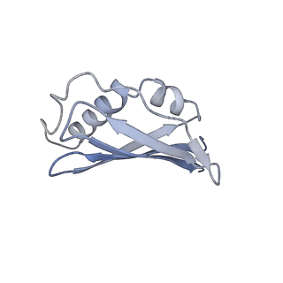 34869_8hl4_L45A_v1-0
Cryo-EM Structures and Translocation Mechanism of Crenarchaeota Ribosome