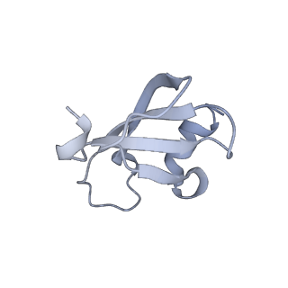 34869_8hl4_L46A_v1-0
Cryo-EM Structures and Translocation Mechanism of Crenarchaeota Ribosome