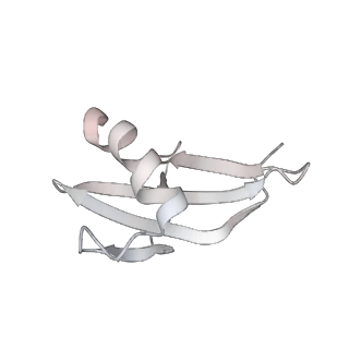 34869_8hl4_L47A_v1-0
Cryo-EM Structures and Translocation Mechanism of Crenarchaeota Ribosome