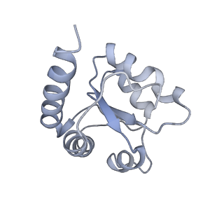 34869_8hl4_L7A1_v1-0
Cryo-EM Structures and Translocation Mechanism of Crenarchaeota Ribosome
