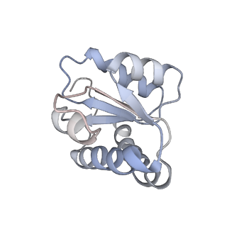 34869_8hl4_L7A2_v1-0
Cryo-EM Structures and Translocation Mechanism of Crenarchaeota Ribosome