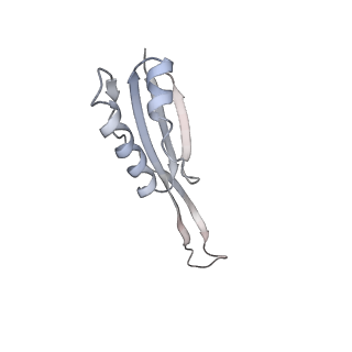 34869_8hl4_S10P_v1-0
Cryo-EM Structures and Translocation Mechanism of Crenarchaeota Ribosome