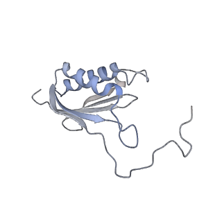 34869_8hl4_S11P_v1-0
Cryo-EM Structures and Translocation Mechanism of Crenarchaeota Ribosome
