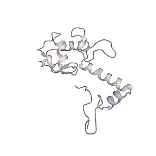 34869_8hl4_S13P_v1-0
Cryo-EM Structures and Translocation Mechanism of Crenarchaeota Ribosome