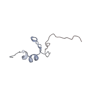 34869_8hl4_S14P_v1-0
Cryo-EM Structures and Translocation Mechanism of Crenarchaeota Ribosome