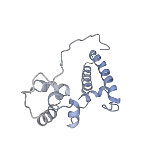 34869_8hl4_S15P_v1-0
Cryo-EM Structures and Translocation Mechanism of Crenarchaeota Ribosome