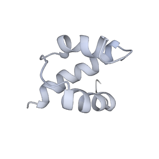 34869_8hl4_S17E_v1-0
Cryo-EM Structures and Translocation Mechanism of Crenarchaeota Ribosome