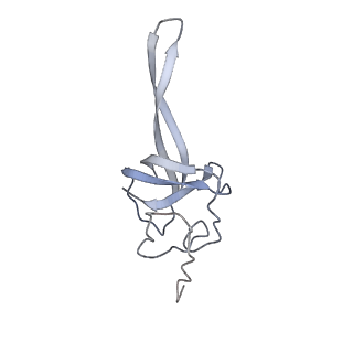 34869_8hl4_S17P_v1-0
Cryo-EM Structures and Translocation Mechanism of Crenarchaeota Ribosome