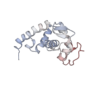 34869_8hl4_S19E_v1-0
Cryo-EM Structures and Translocation Mechanism of Crenarchaeota Ribosome