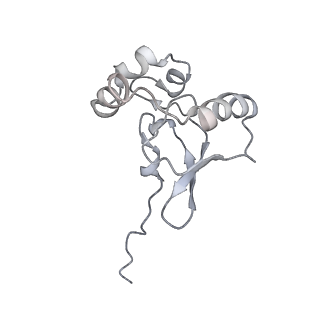 34869_8hl4_S19P_v1-0
Cryo-EM Structures and Translocation Mechanism of Crenarchaeota Ribosome