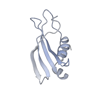34869_8hl4_S24E_v1-0
Cryo-EM Structures and Translocation Mechanism of Crenarchaeota Ribosome
