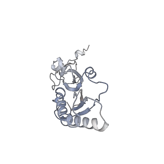 34869_8hl4_S3AE_v1-0
Cryo-EM Structures and Translocation Mechanism of Crenarchaeota Ribosome