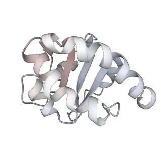34869_8hl4_SL7A_v1-0
Cryo-EM Structures and Translocation Mechanism of Crenarchaeota Ribosome