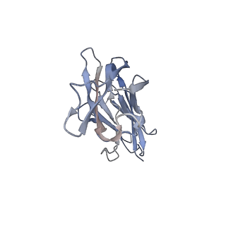 34871_8hlb_B_v1-0
Cryo-EM structure of biparatopic antibody Bp109-92 in complex with TNFR2