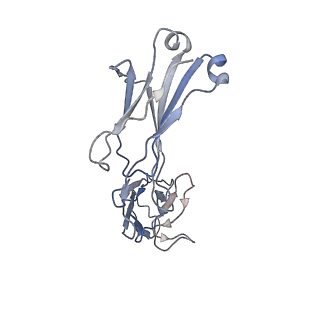 34871_8hlb_C_v1-0
Cryo-EM structure of biparatopic antibody Bp109-92 in complex with TNFR2