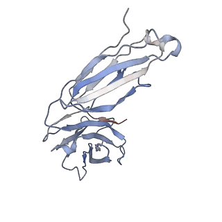34871_8hlb_D_v1-0
Cryo-EM structure of biparatopic antibody Bp109-92 in complex with TNFR2