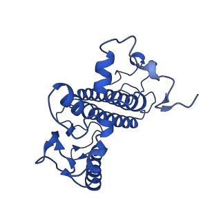 34883_8hlv_A_v1-1
Bry-LHCII homotrimer of Bryopsis corticulans