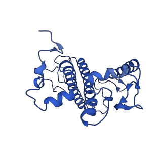 34883_8hlv_B_v1-1
Bry-LHCII homotrimer of Bryopsis corticulans