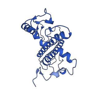 34883_8hlv_C_v1-1
Bry-LHCII homotrimer of Bryopsis corticulans