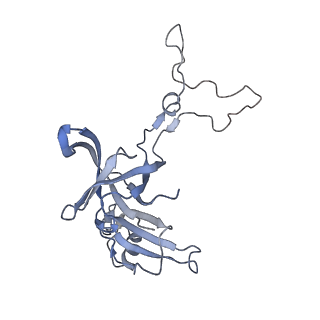 0243_6hma_D_v1-1
Improved model derived from cryo-EM map of Staphylococcus aureus large ribosomal subunit
