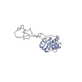 0243_6hma_E_v1-1
Improved model derived from cryo-EM map of Staphylococcus aureus large ribosomal subunit