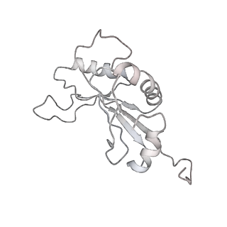 0243_6hma_F_v1-1
Improved model derived from cryo-EM map of Staphylococcus aureus large ribosomal subunit