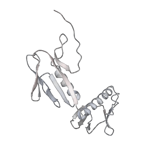 0243_6hma_G_v1-1
Improved model derived from cryo-EM map of Staphylococcus aureus large ribosomal subunit