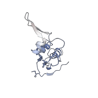 0243_6hma_H_v1-1
Improved model derived from cryo-EM map of Staphylococcus aureus large ribosomal subunit