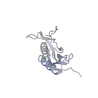 0243_6hma_K_v1-1
Improved model derived from cryo-EM map of Staphylococcus aureus large ribosomal subunit