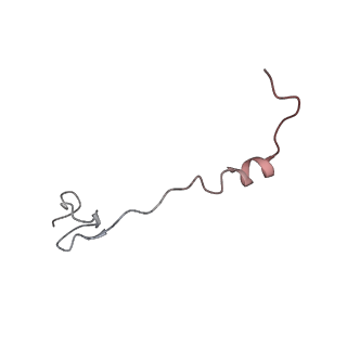 0243_6hma_Z_v1-1
Improved model derived from cryo-EM map of Staphylococcus aureus large ribosomal subunit