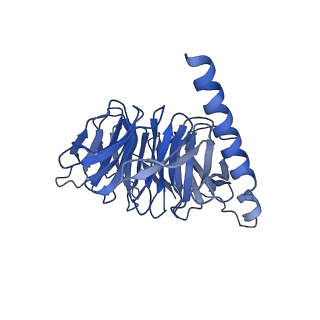 34903_8hmv_B_v1-0
Structure of GPR21-Gs complex
