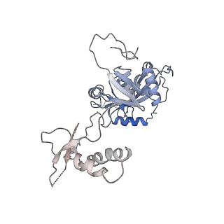 34904_8hmy_A_v1-1
Cryo-EM structure of the human pre-catalytic TSEN/pre-tRNA complex