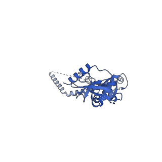 34904_8hmy_B_v1-1
Cryo-EM structure of the human pre-catalytic TSEN/pre-tRNA complex