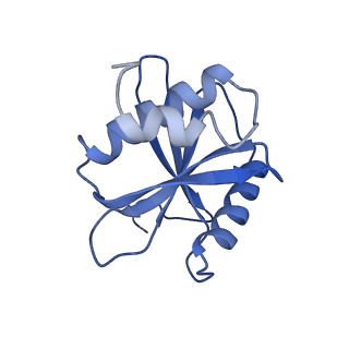 34904_8hmy_D_v1-1
Cryo-EM structure of the human pre-catalytic TSEN/pre-tRNA complex
