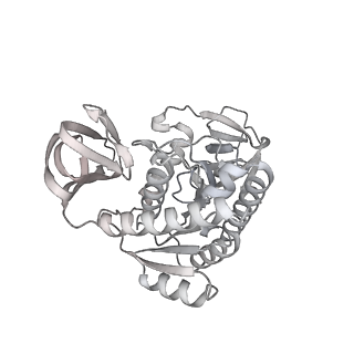 34904_8hmy_E_v1-1
Cryo-EM structure of the human pre-catalytic TSEN/pre-tRNA complex