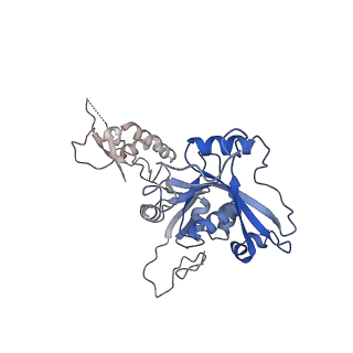 34905_8hmz_A_v1-1
Cryo-EM structure of the human post-catalytic TSEN/pre-tRNA complex